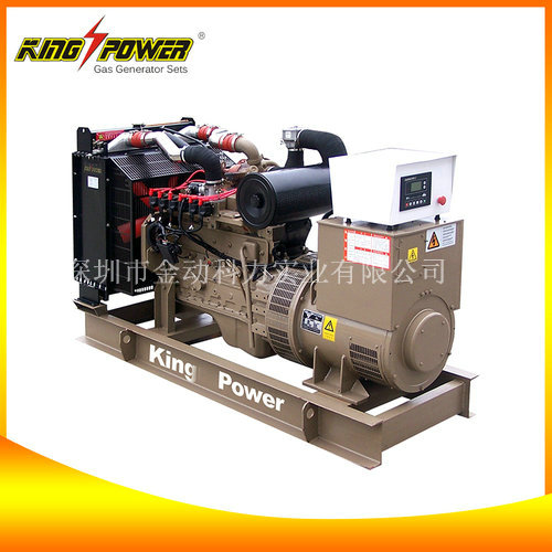 【沼氣發(fā)電機(jī)廠家】讓污染成為能源的一種！