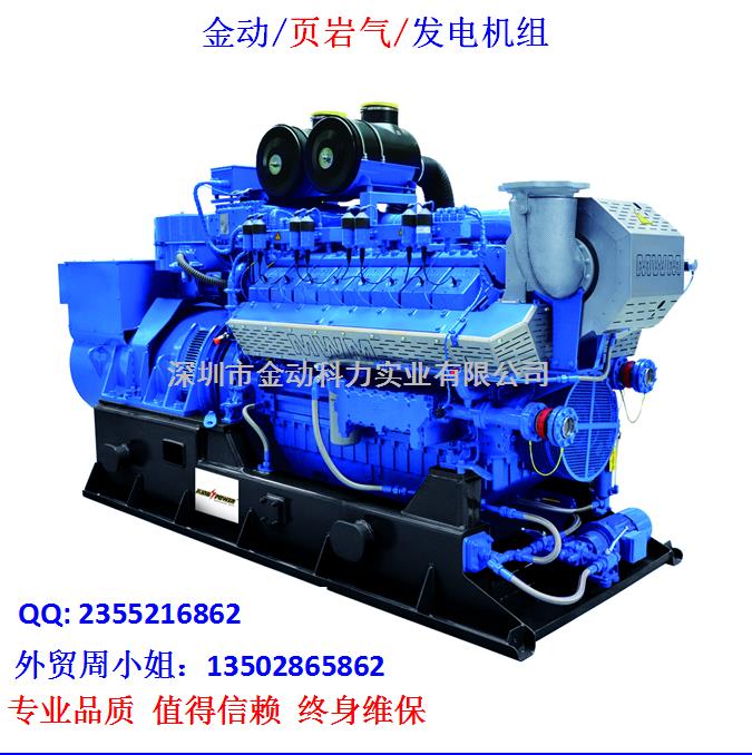 【深圳頁巖氣發(fā)電機】 發(fā)展趨勢無懈可擋！